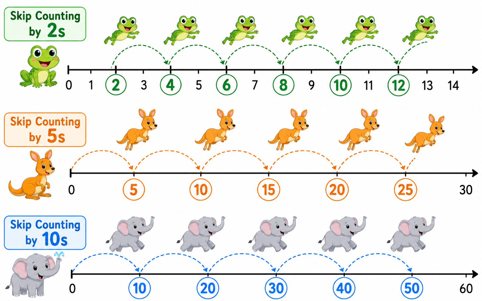 Skip Counting illustration showing number lines with hops